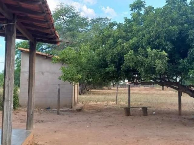 Fazenda para venda em Centro, Verdelândia