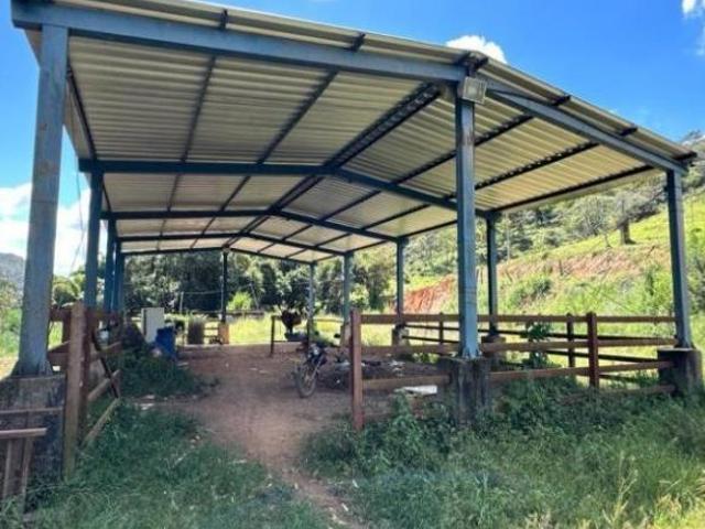 Fazenda para venda em Cláudio