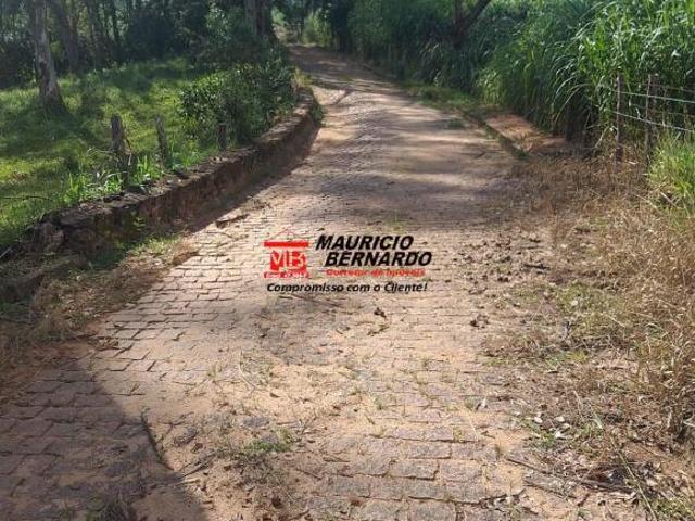 Fazenda para venda em Amparo