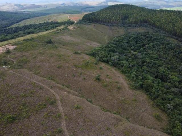 Fazenda para venda em Andrelândia