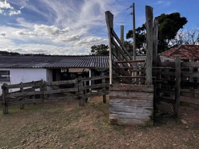 Fazenda para venda em Andrelândia