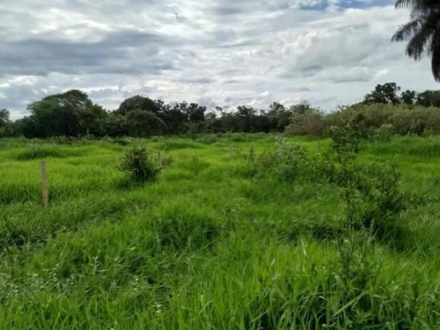 Fazenda para Venda em Abaeté, Zona Rural