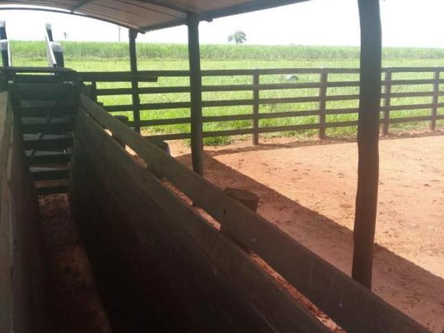 Fazenda para venda em Adamantina