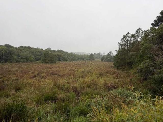 Fazenda para venda em Água Azul, Lapa