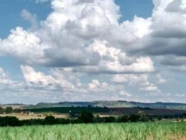 Fazenda para Venda em Altinópolis, Zona Rural