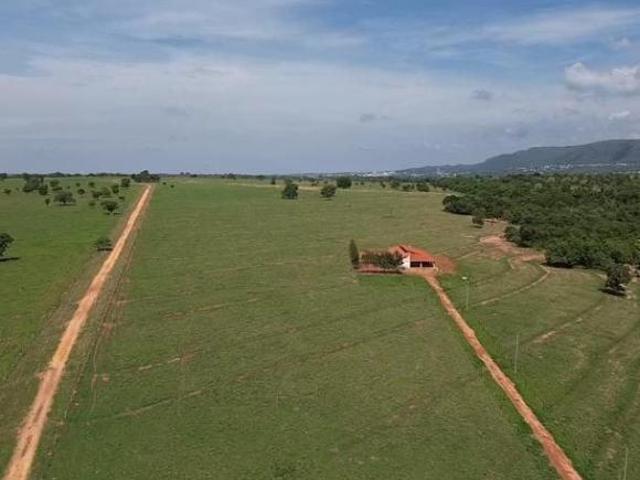 Fazenda para venda em Alexandrina, Quirinópolis