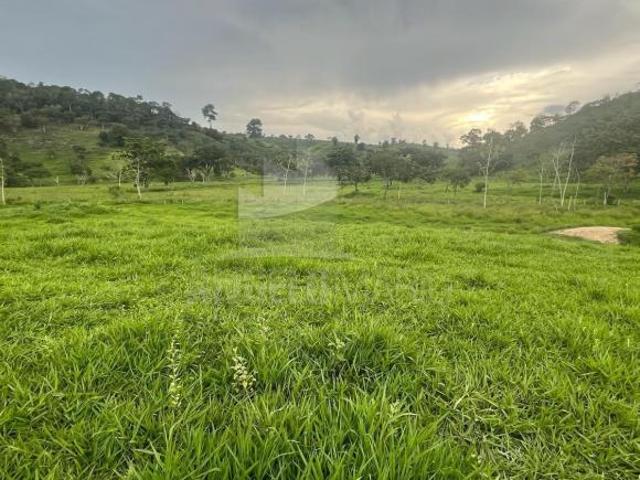 Fazenda para Venda em Almenara, RODOVIA 367, A 26 KM DA CIDADE DE ALMENARA MG