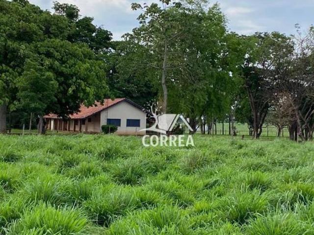Fazenda para venda em Aparecida