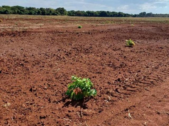 Fazenda para venda em Araporã