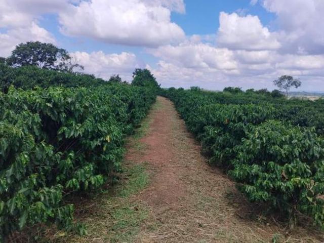 Fazenda para Venda em Arceburgo, RURAL