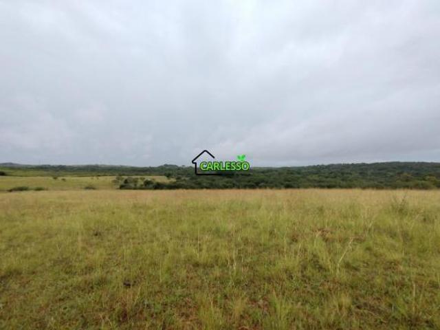 Fazenda para venda em Área Rural de Alegrete, Alegrete