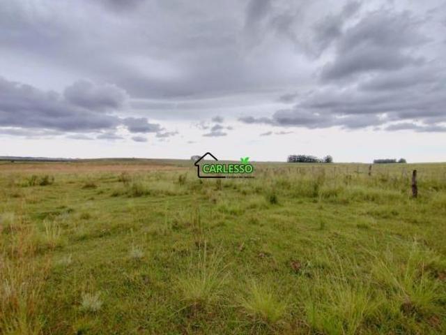Fazenda para venda em Área Rural de Alegrete, Alegrete
