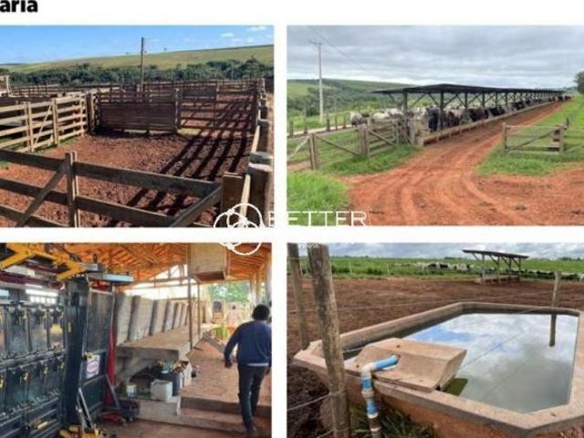 Fazenda para venda em Área Rural de Angatuba, Angatuba