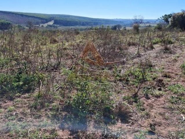 Fazenda para venda em Área Rural de Anhembi, Anhembi