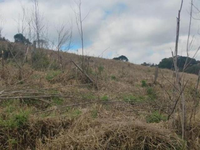 Fazenda para venda em Área Rural de Apiaí, Apiaí
