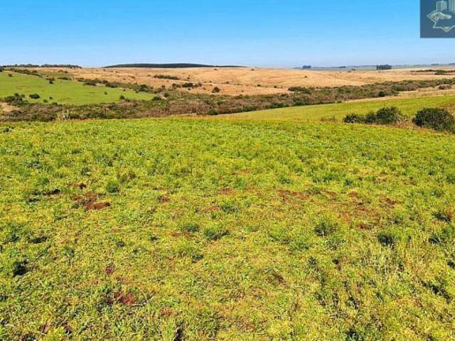Fazenda para venda em Área Rural de Bagé, Bagé