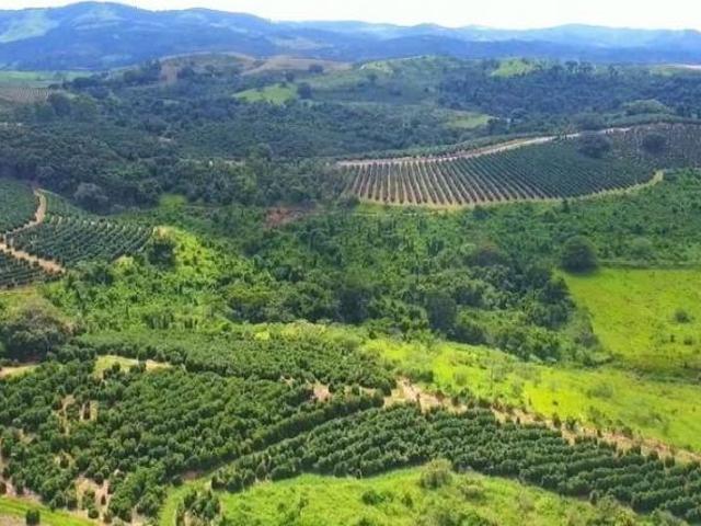 Fazenda para venda em Área Rural de Caconde, Caconde