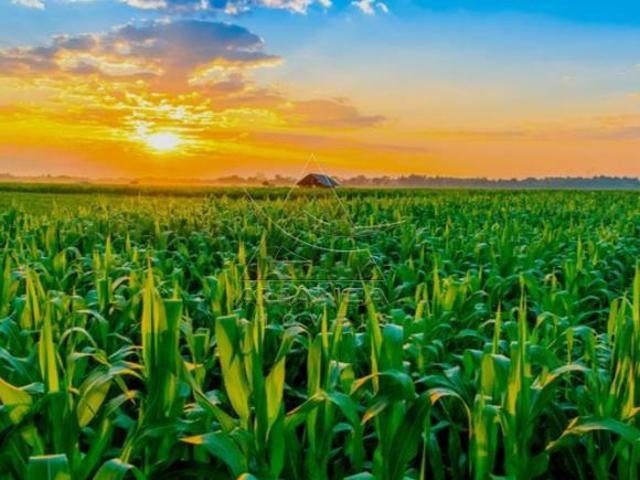 Sítio para venda em Área Rural de Cajuru, Cajuru