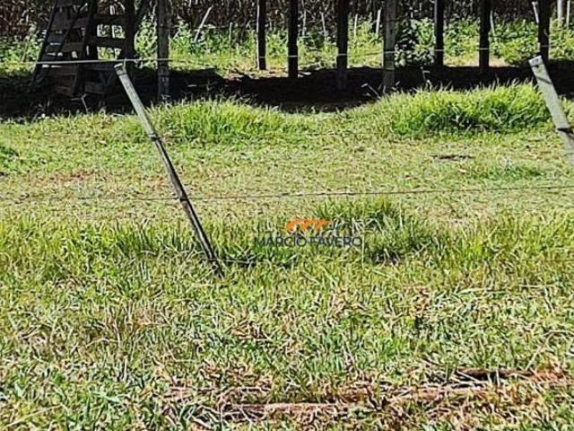 Fazenda para venda em Área Rural de Dourado, Dourado