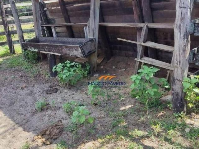 Fazenda para venda em Área Rural de Dourado, Dourado