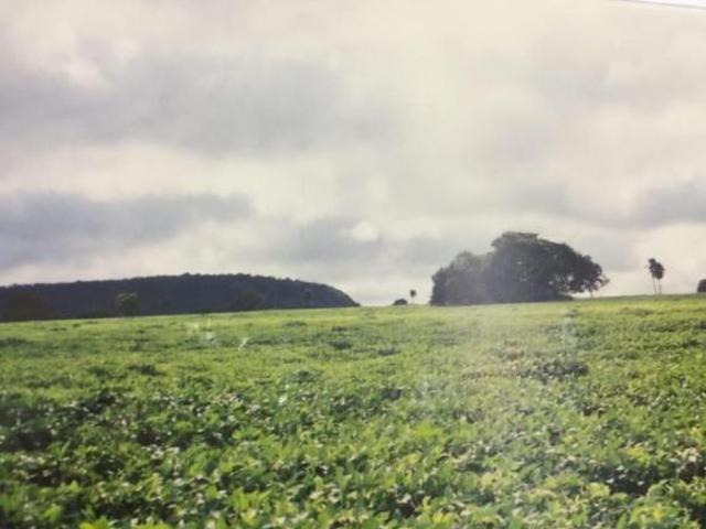 Fazenda para venda em Área Rural de Ituiutaba, Ituiutaba