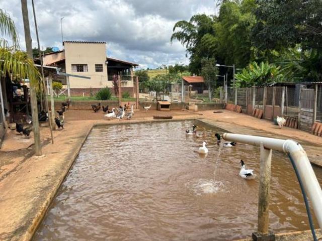 Fazenda para venda em Área Rural de Lavras, Lavras