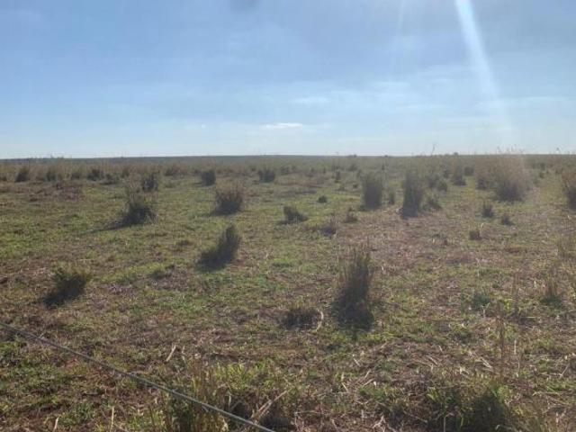 Fazenda para venda em Área Rural de Marília, Marília