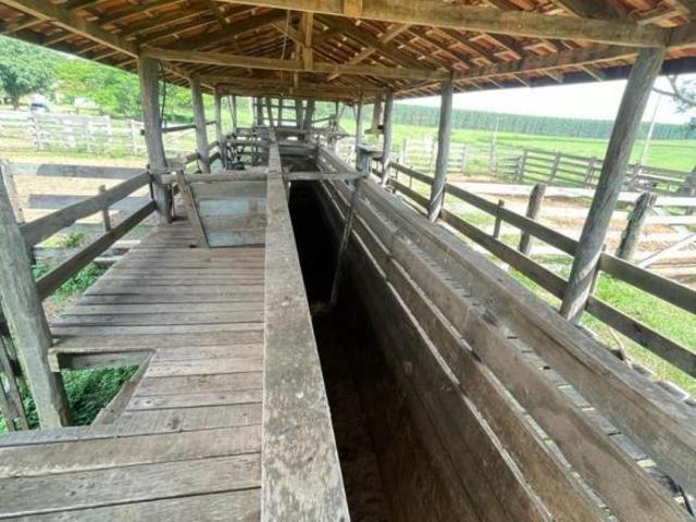 Fazenda para venda em Área Rural de Marília, Marília