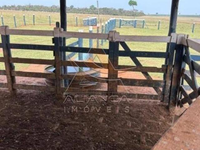 Fazenda para venda em Área Rural de Marília, Marília