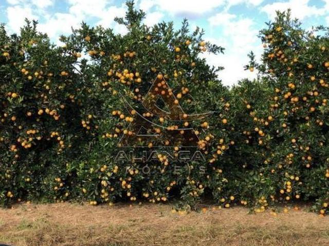 Fazenda para venda em Área Rural de Marília, Marília