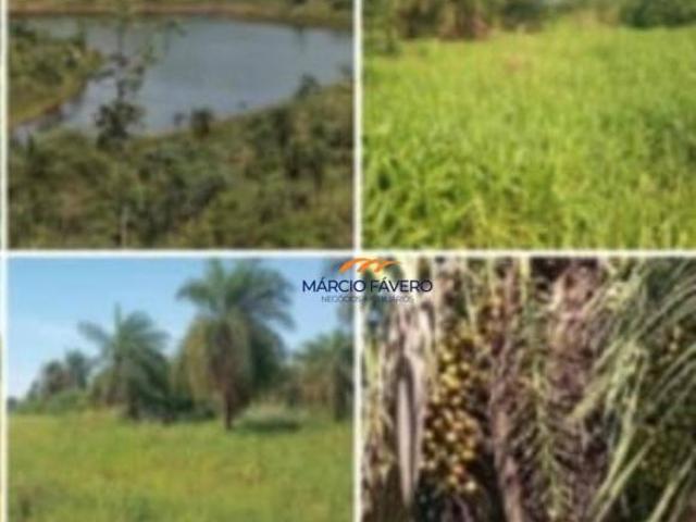 Fazenda para venda em Área Rural de Presidente Prudente, Pre