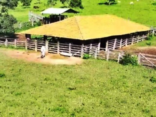 Fazenda para Venda em Arinos, Zona Rural