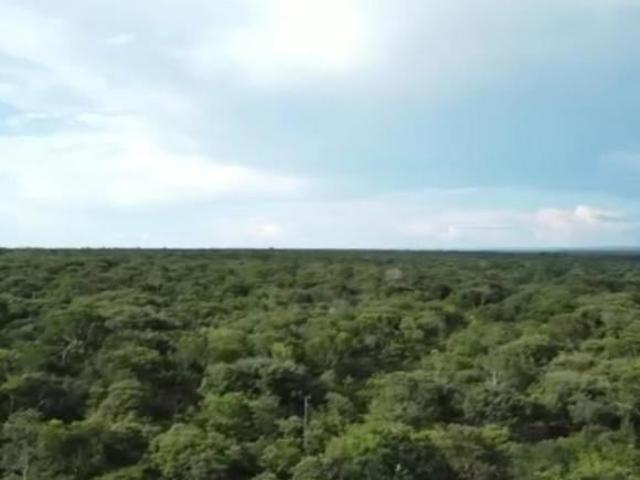 Fazenda para Venda em Arinos