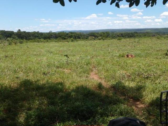 Fazenda para Venda em Arinos