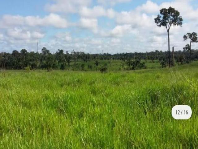 Fazenda para venda em Asa Norte, Brasília