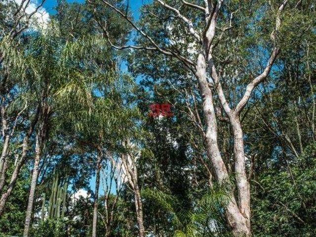 Fazenda para venda em Avaí
