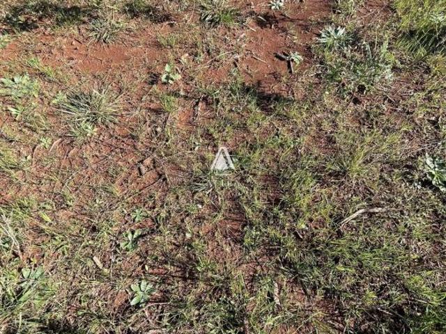 Fazenda para venda em Boca do Monte, Santa Maria
