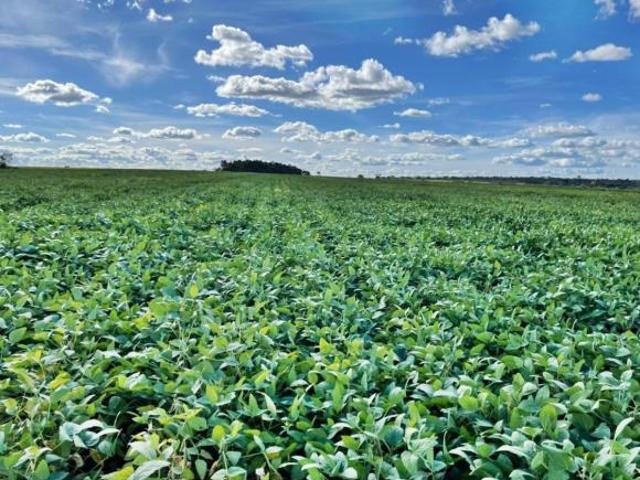 Fazenda para Venda em Bonfinópolis de Minas, Zona Rural