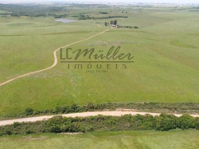 Fazenda para venda em Bagé