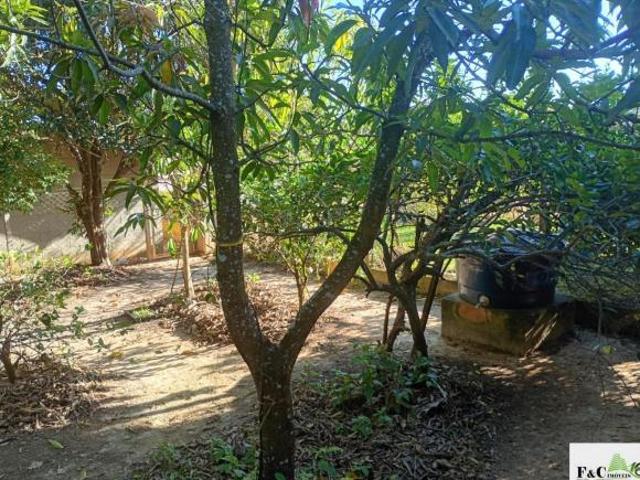 Fazenda para venda em Bairro dos Pires, Limeira