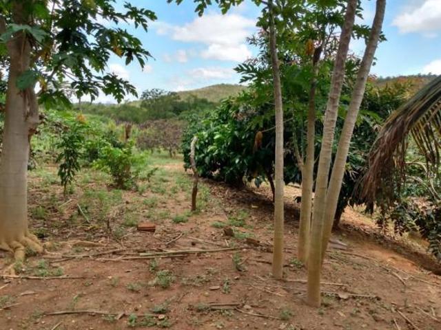 Fazenda para Venda em Belo Horizonte, Zona Rural