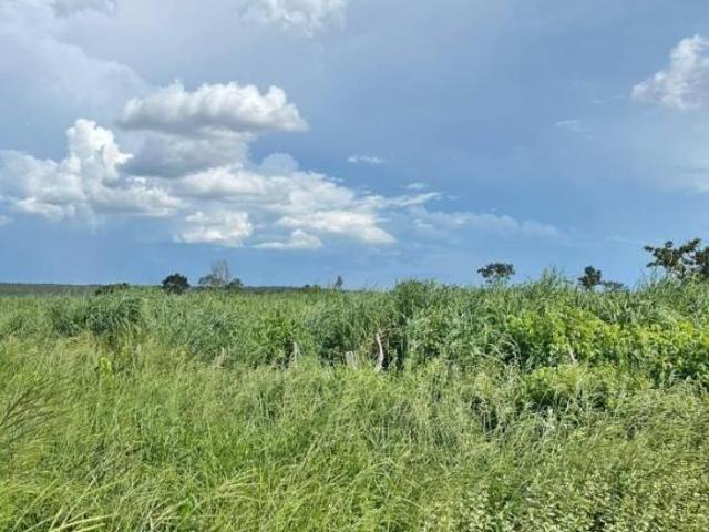 Fazenda para Venda em Brasilândia de Minas, Zona Rural