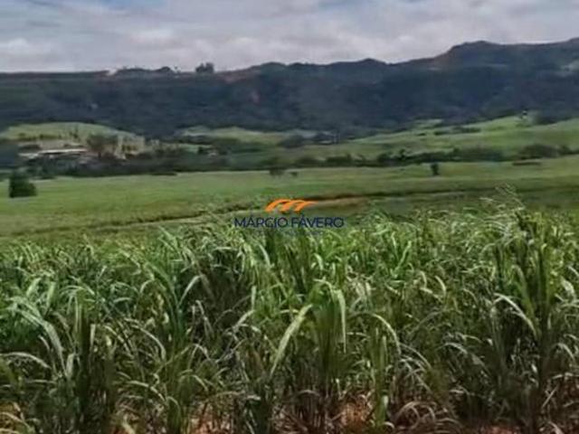 Fazenda para venda em Brotas