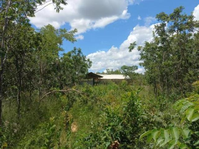 Fazenda para venda em Buenópolis