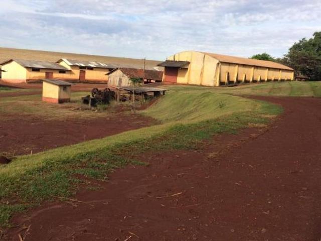 Fazenda para Venda em Goioerê