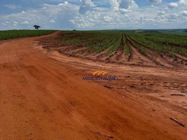Fazenda para venda em Gavião Peixoto