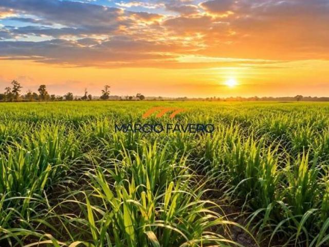 Fazenda para venda em General Salgado