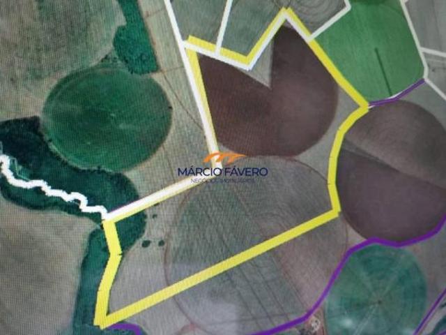 Fazenda para venda em Guaíra