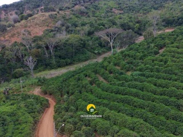 Fazenda para Venda em Guanhães, Taquaral, 2 dormitórios, 1 banheiro
