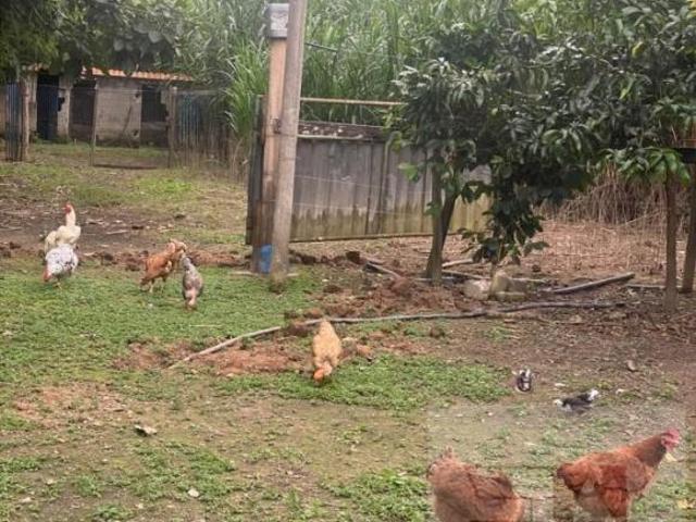 Fazenda para venda em Guaratinguetá